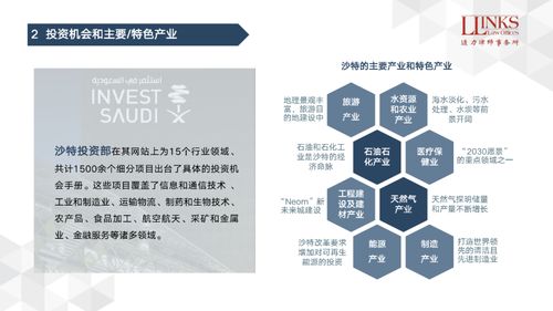 企业出海系列之沙特投资法律要点介绍 项目投资篇