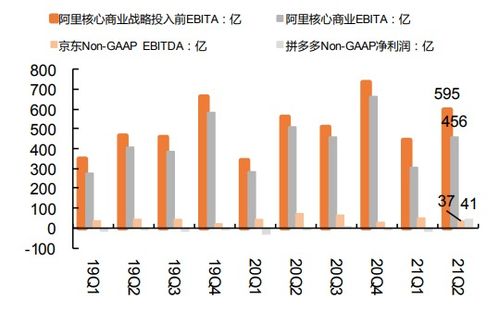 综合电商项目投资价值分析报告 龙头进入投入期，行业竞争加剧背景下的机遇与风险
